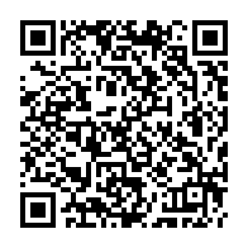 QR code for CHF 383