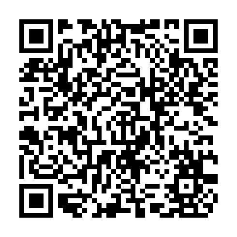 QR code for plate CHF 166