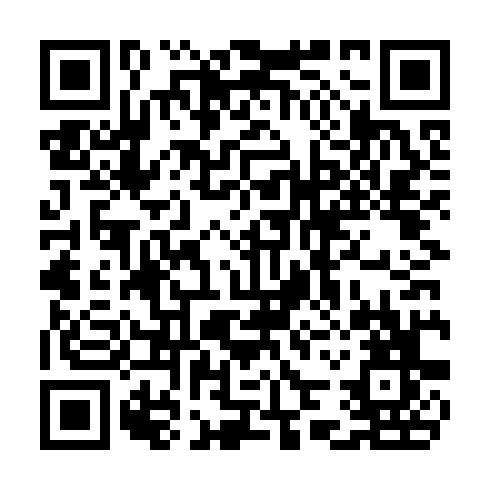 QR code for CHF376