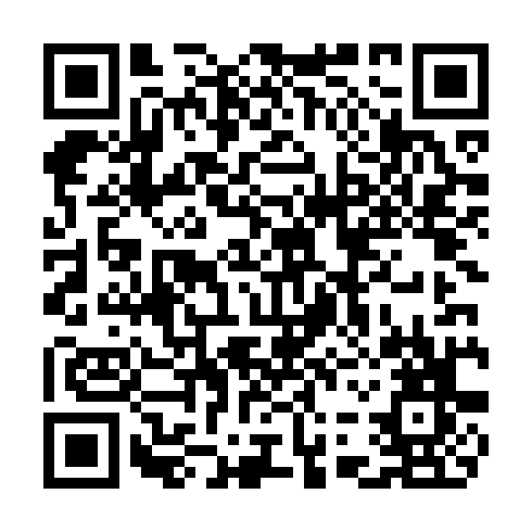 QR code for CHI 160