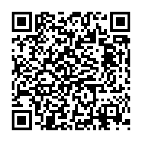 QR code for CHI 256