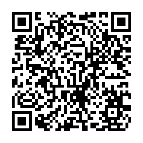 QR code for CHI 319