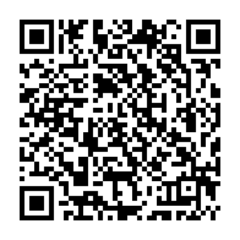 QR code for CHI 323