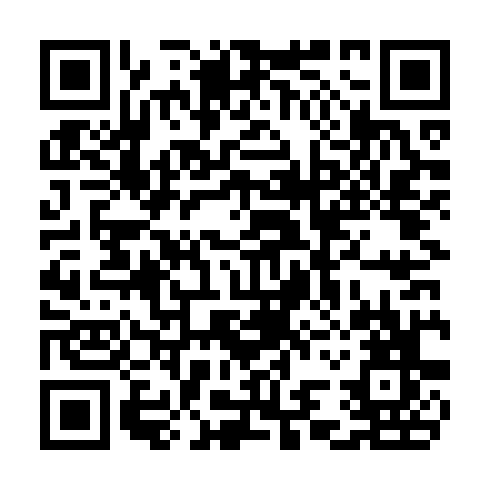 QR code for CHI 375