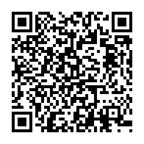 QR code for CHI 587