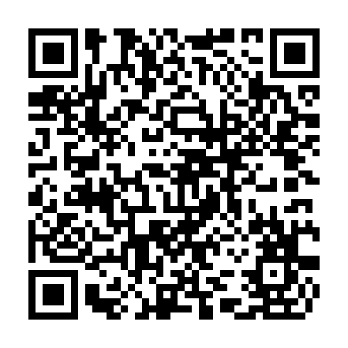 QR code for CHI 598