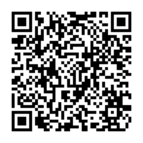 QR code for CHI 606