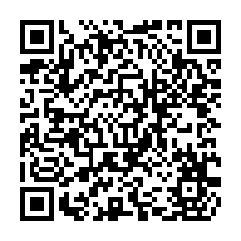 QR code for CHI 650