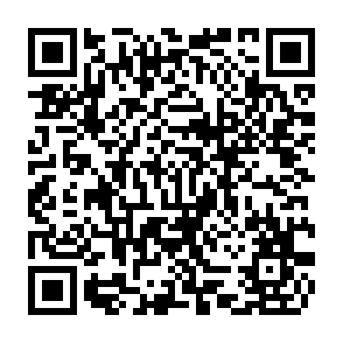 QR code for CHI 697