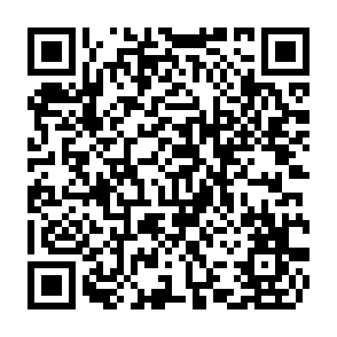 QR code for CHI 895