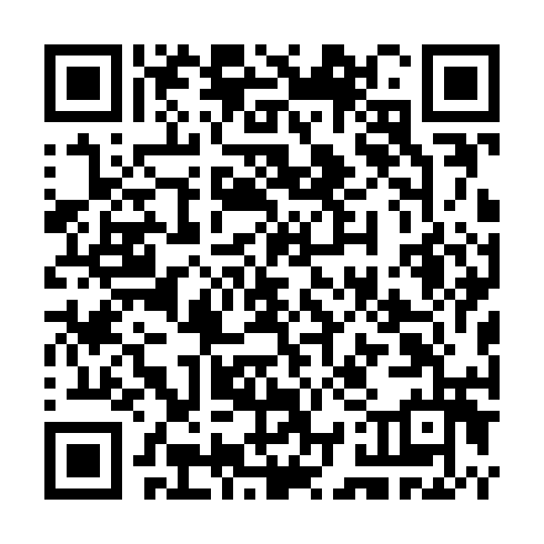 QR code for CHI 924