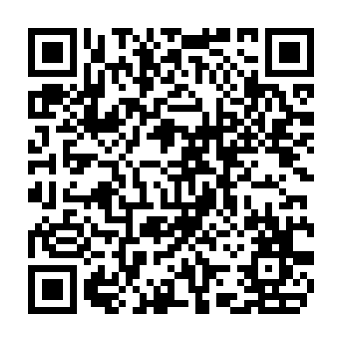 QR code for CHI033