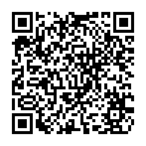 QR code for CHI204