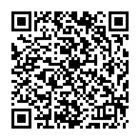 QR code for CHI482