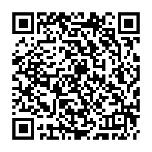 QR code for CHI581