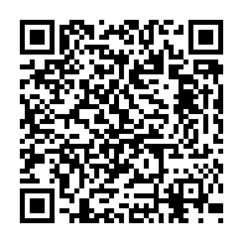 QR code for CHI696