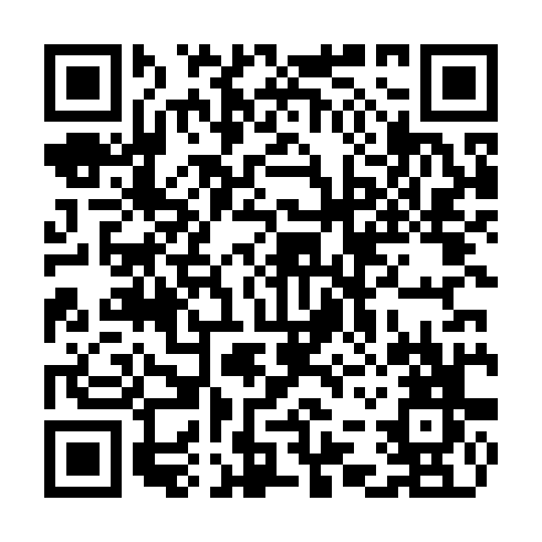 QR code for plate CHJ 481