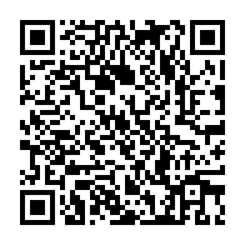QR code for plate CHK 965