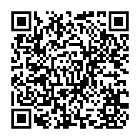 QR code for CHL 161