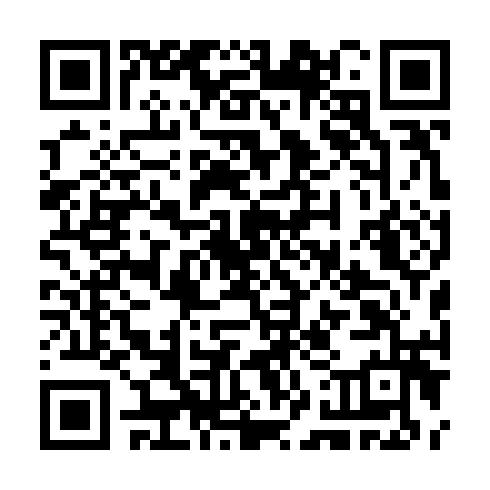 QR code for CHL319