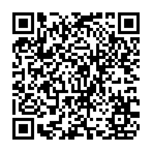 QR code for CHL338