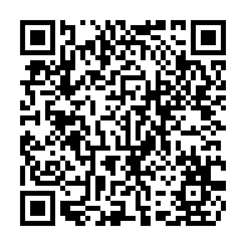 QR code for plate CHL 613