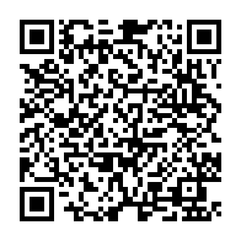 QR code for plate CHM 313