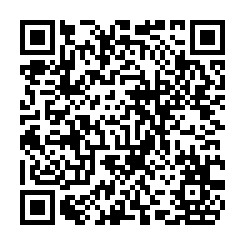 QR code for CHO 376