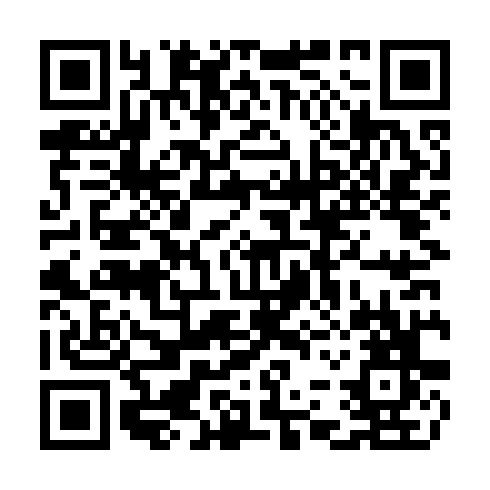 QR code for CHO315