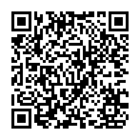 QR code for CHS 738
