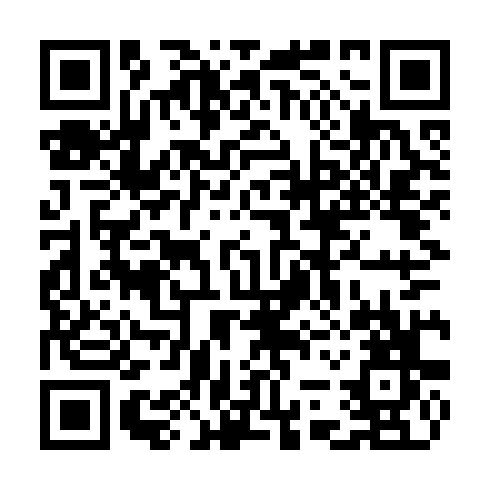 QR code for CHS381
