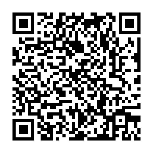 QR code for plate CHS 641