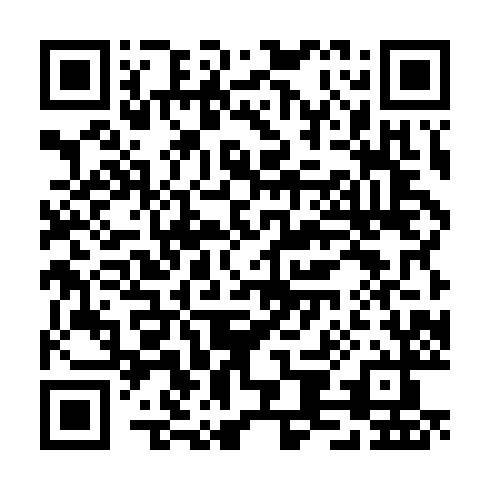 QR code for plate CHS 690