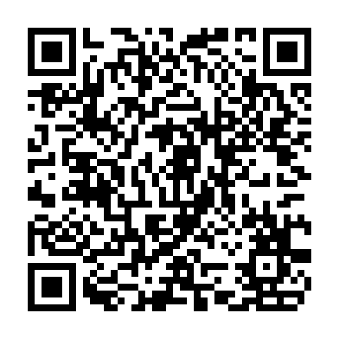 QR code for plate CHW 338