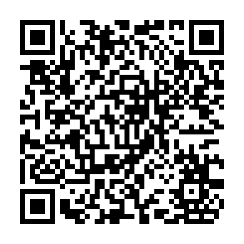 QR code for plate CHX 379