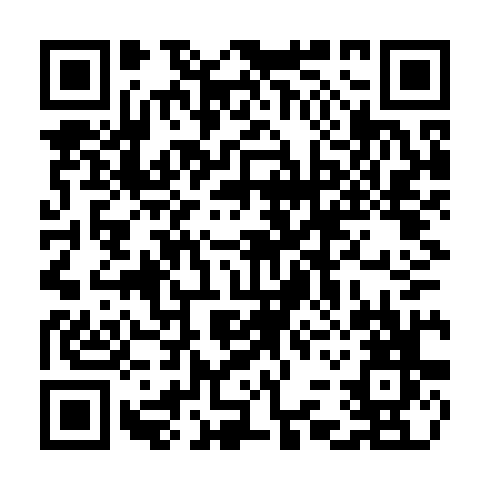 QR code for plate CHZ 306