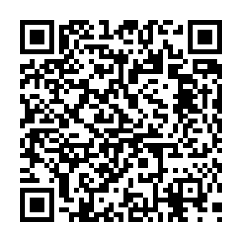 QR code for plate CHZ 920
