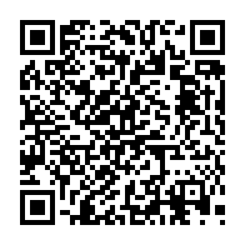 QR code for CIE 461