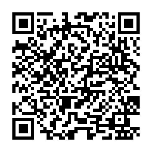 QR code for CIJ 393