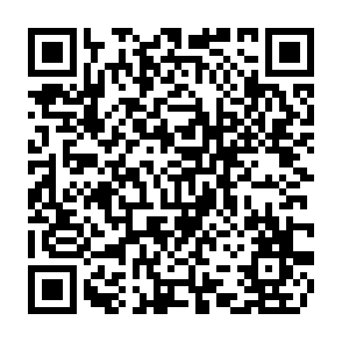 QR code for CIO313