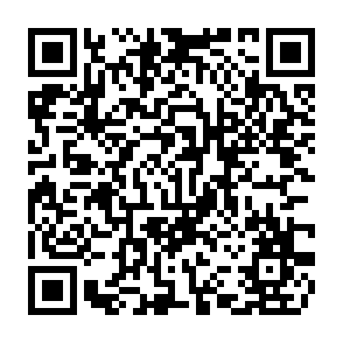 QR code for CIS 411