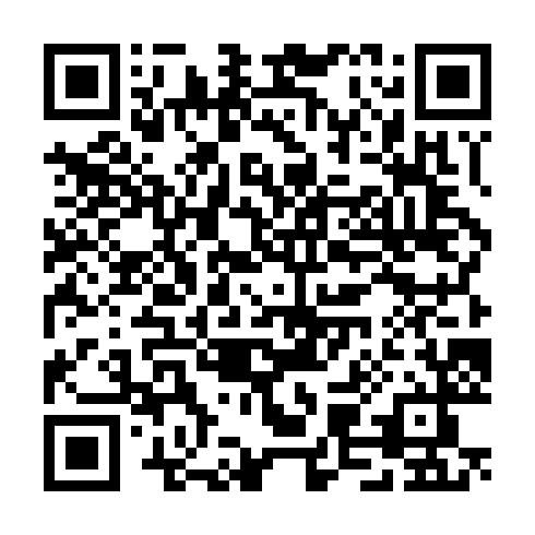 QR code for CIY 381