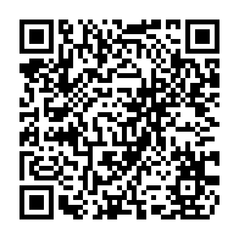QR code for CJZ 313