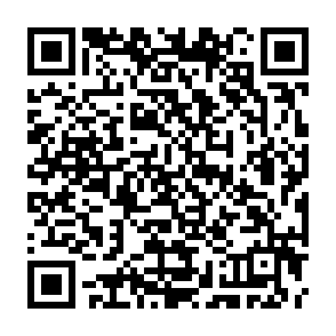 QR code for CKM 913