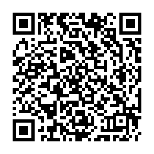 QR code for CKV 386