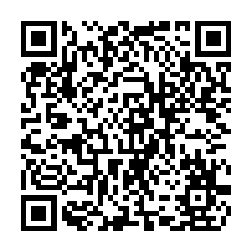 QR code for CLP 313
