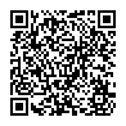 QR code for CMM 295