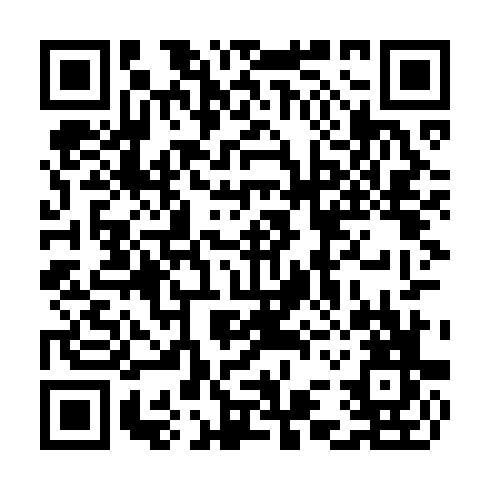 QR code for CMU 290