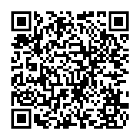 QR code for CMU 385