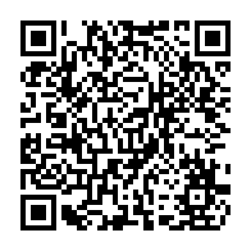 QR code for plate CMU 313